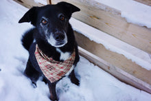 Load image into Gallery viewer, Rustic Red Snowflakes &amp; Plaid - Bandana
