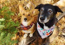 Load image into Gallery viewer, Howl-ween - Pet Bandana
