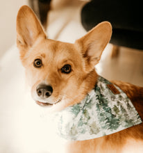 Load image into Gallery viewer, Watercolour Evergreen Trees - Pet Bandana
