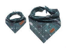 Load image into Gallery viewer, Bohemian Winter Forest Green - Pet Bandana
