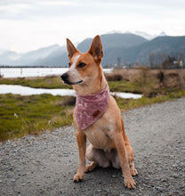 Load image into Gallery viewer, Dusty Rose Camping - Pet Bandana
