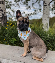 Load image into Gallery viewer, Busy Bees - Pet Bandana
